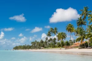Qual a melhor praia em Maragogi AL 1 Viagem pra Você