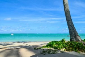 Qual o melhor resort all inclusive em Maragogi AL 1 Viagem pra Você