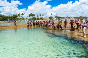 Top 10 hoteis para se hospedar em Porto de Galinhas 3 Viagem pra Você