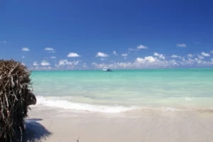 Top 10 melhores praias em Maragogi AL 2 Viagem pra Você
