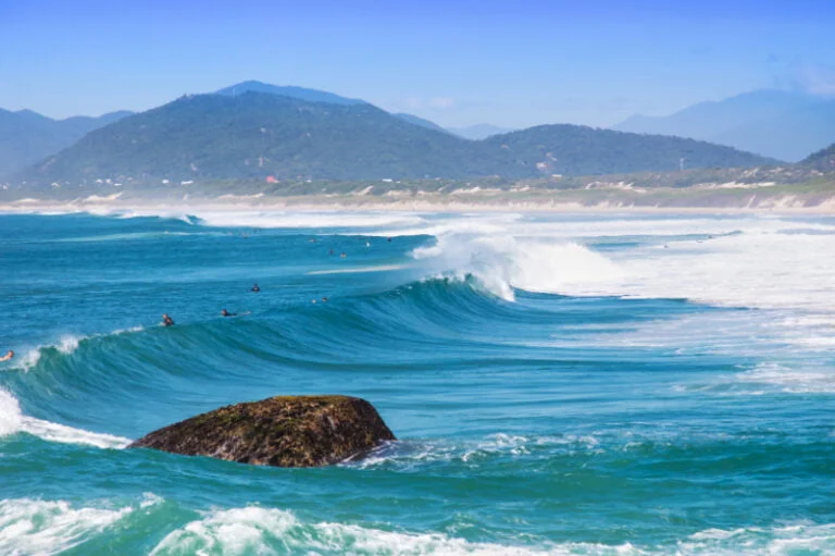Home 210 qual a melhor praia de florianopolis sc 1 1 Viagem pra Você